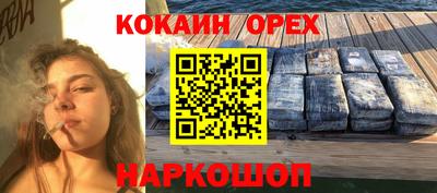 амф Сланцы
