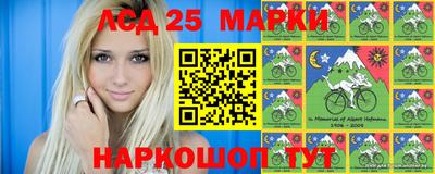 амф Сланцы