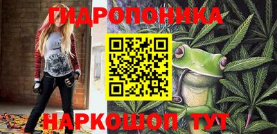 крисы Славянск-на-Кубани